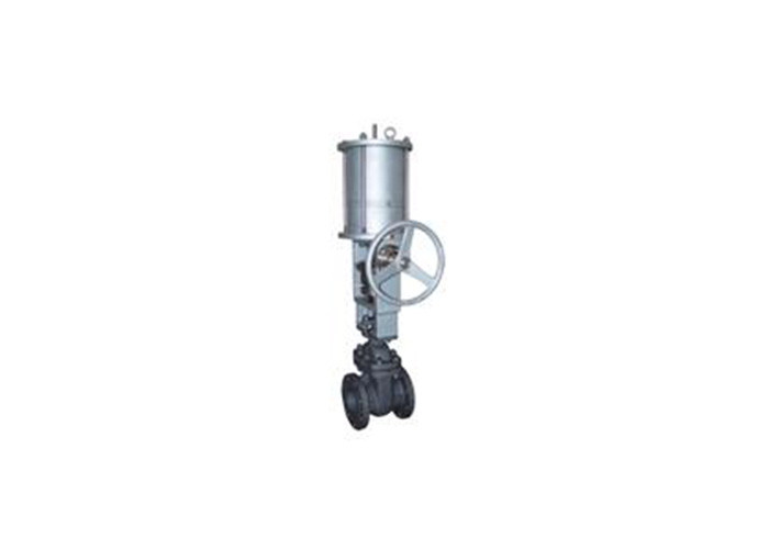 Pneumatic Wedge Gate Valve with Manual Operation